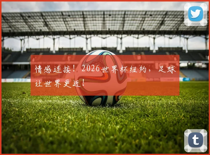 情感连接!2026世界杯纽约,足球让世界更近!